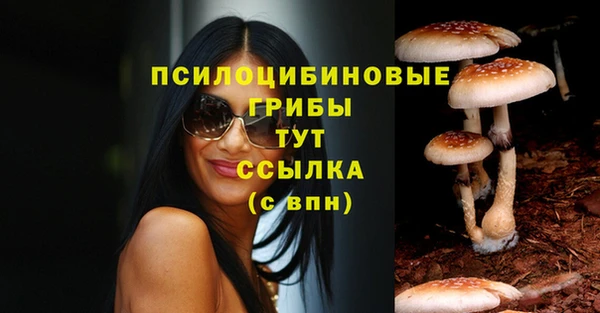 амфетамин Богородицк