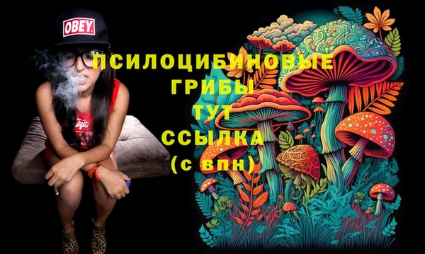 эйфоретик Богородск